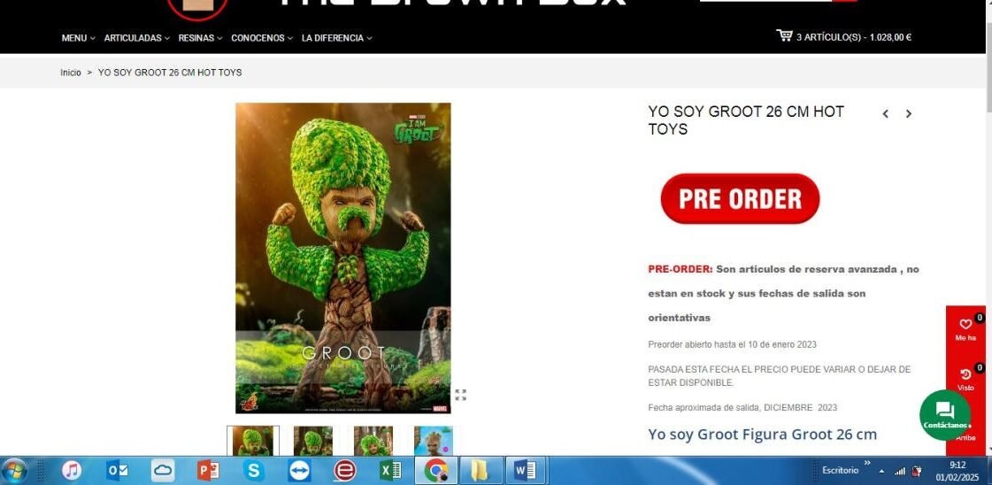 Capturas 01 - 02 - 2025 -0003